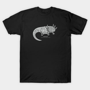 Axolotl with Common and Scientific Names - cool animal design T-Shirt